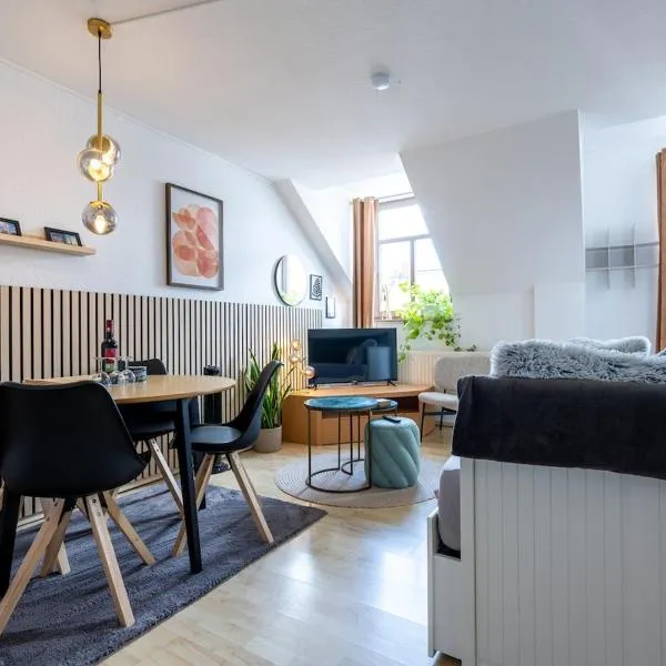 2 room Sonnenberg Wi-Fi Netflix, хотел в Кемниц