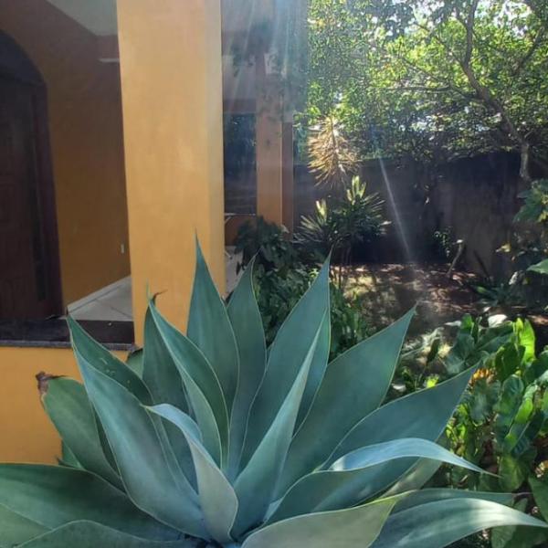 Casa Espaçosa em Parati-Anchieta