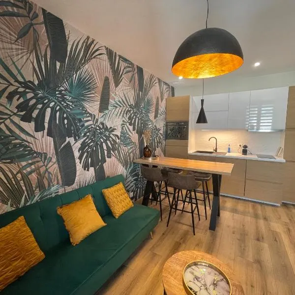 Très joli petit appartement, Hotel in Grenoble