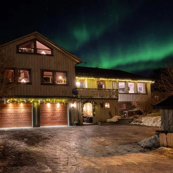 House under the Aurora Cozy Private Home with Fireplace, hotel in Laukvik