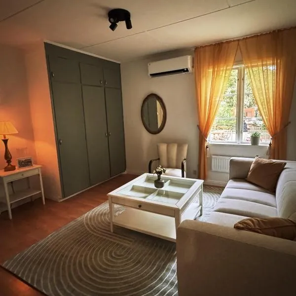 Doktorsvillan Hjo Stadspark, hotell sihtkohas Hjo