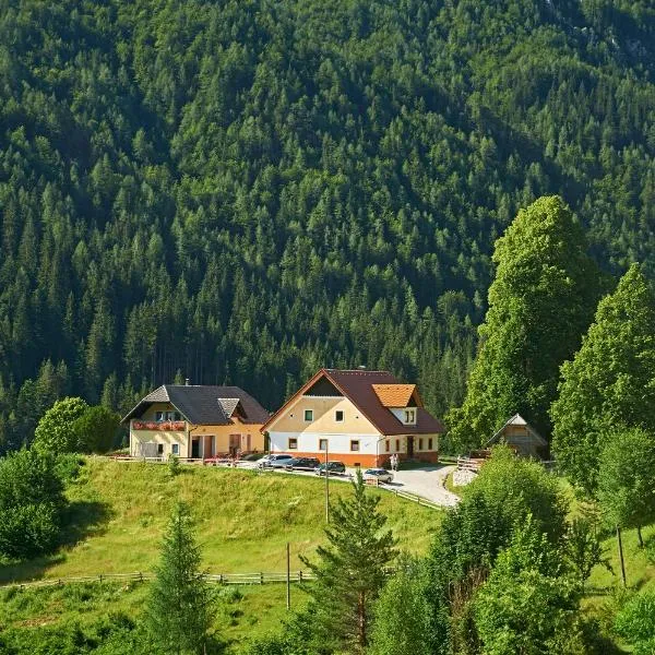 Tourist farm Gradišnik, hotel en Solčava