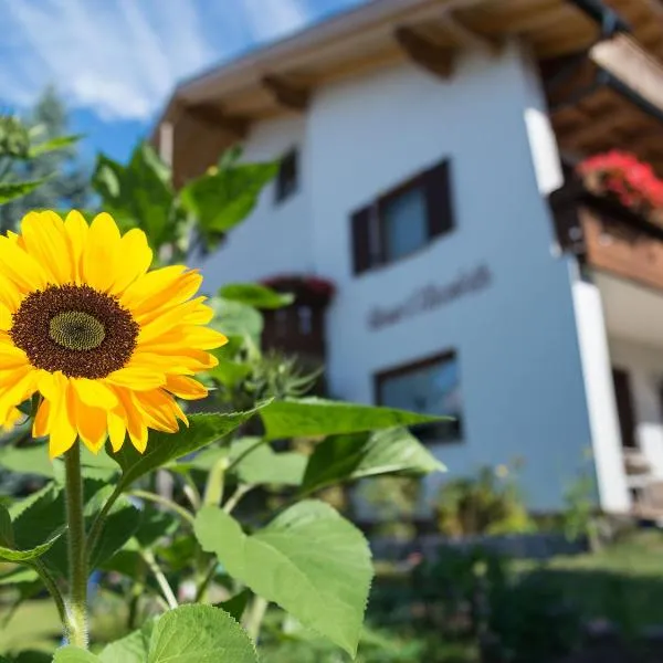 Haus Elisabeth, hotel a Nova Ponente