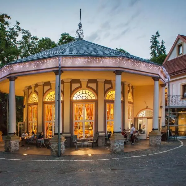 Goethe - Kupelne pobyty s procedurami v Liecebnych termalnych kupeloch, hotel u gradu 'Sklené Teplice'
