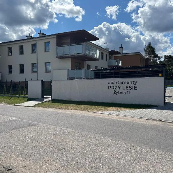 Kobaltowa Przystań - Apartament z Klimatem, מלון בולוקלאבק