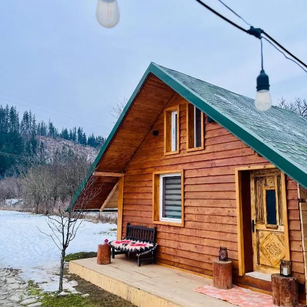 EscapeTinyCabin by IezerVenture, hotel en Lereşti