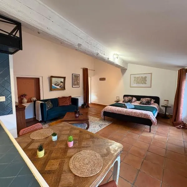 Studio Provençal au centre-ville de Vienne, hotel in Vienne
