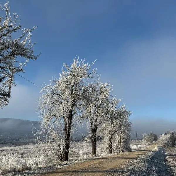 Ferienwohnung Bleicherode, хотел в Bleicherode