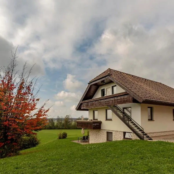 LOGAR Apartments, отель в городе Преддвор