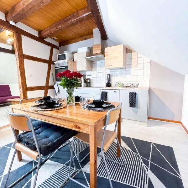 Duplex de Charme - Turckheim - Route des Vins โรงแรมในทุร์กไกม์