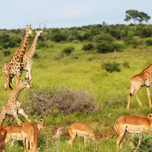 Grace of Africa Boutique Safari Lodge, hotel v destinaci Marloth Park