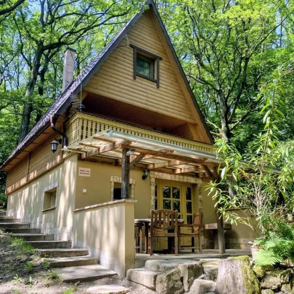 Őzike-Lak a Börzsönyben, hotel v mestu Kismaros