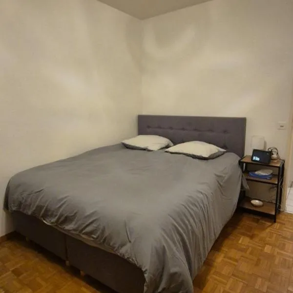 Studio en centre Ville, côté de la Gare de Champel et d l'Hopital, hotel em Genebra