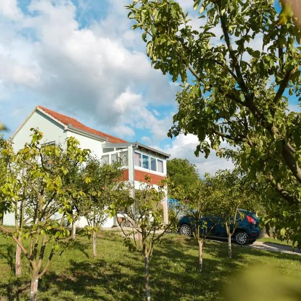 Apartman Šarabaća, hotel u gradu Bajagić