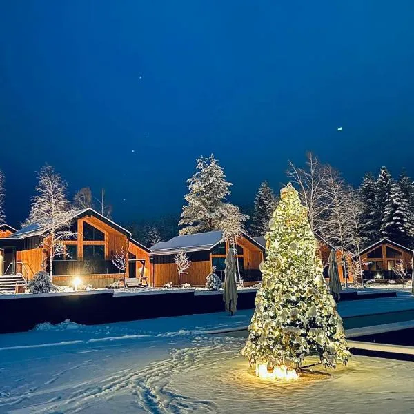 Phoenix Medical Resort, hotelli kohteessa Sh’idnytsja