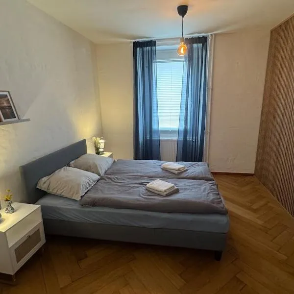 Artsy und Cosy nahe Norvatis Campus in Basel St Johann, hotel a Basilea