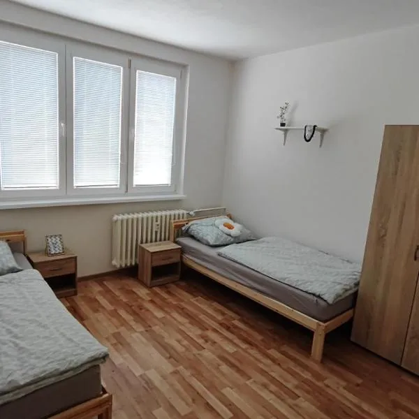 Apartmán pro 4 osoby, Bukovany B1, hotel a Sokolov