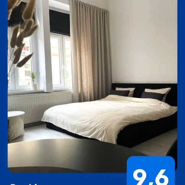 Apartament Miedziany Śródmieście، فندق في غروجونتس