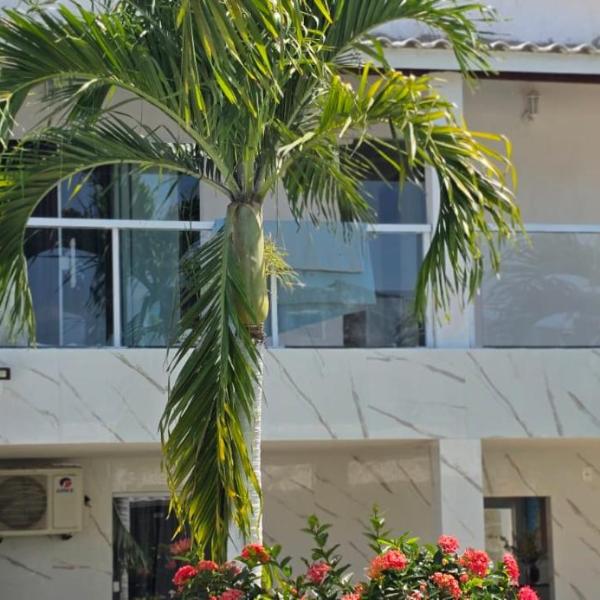 Casa em aratuba - Foto 2