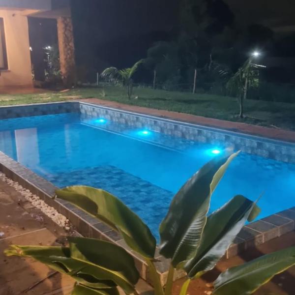 Canto dos Passaros