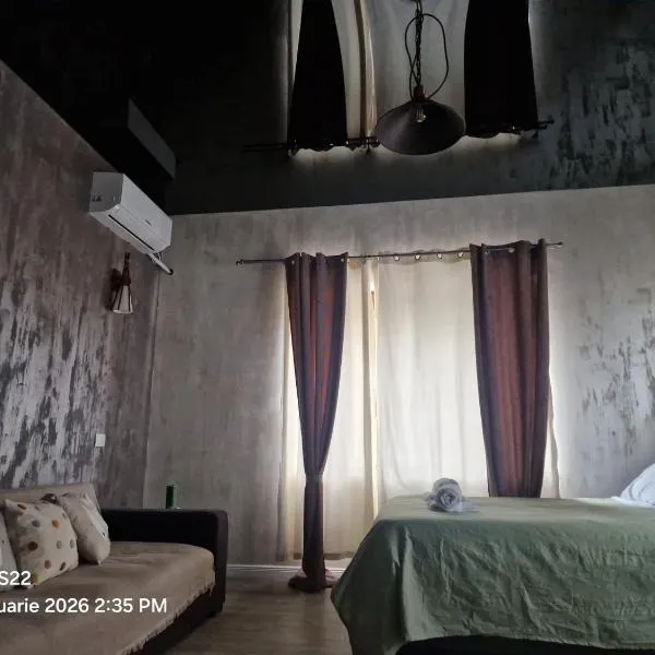 Casa Rahova、ブライラのホテル