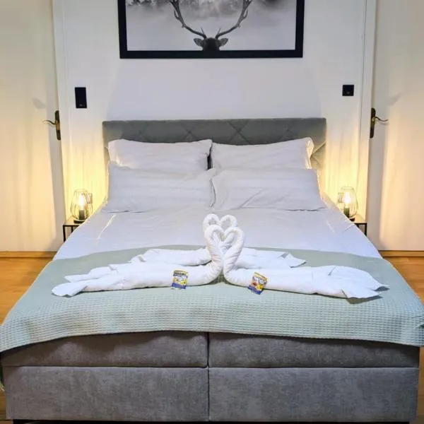 Danube Rooms Abteistrasse - Self Checkin - Moderne Wohnungen - Ideal für Geschäftsreisende und Städtetrips, hotell Passaus