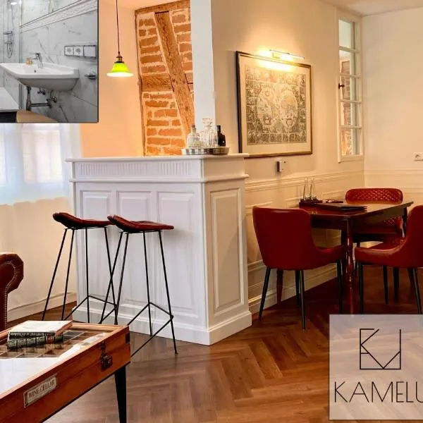 Boutique Suites by K A M E L U, ξενοδοχείο σε Gengenbach
