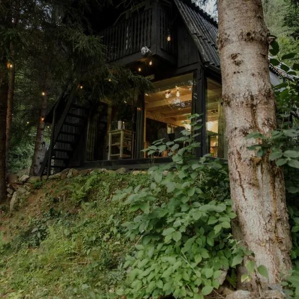 Sturzul Negru, hotel u gradu Păiuş