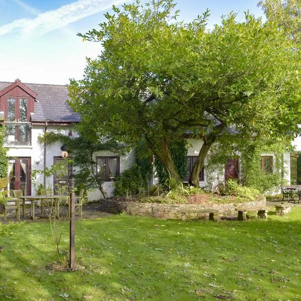 Alices Cottage, отель в городе Stepaside