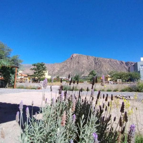 El Aromo Cafayate, hotel a Cafayate