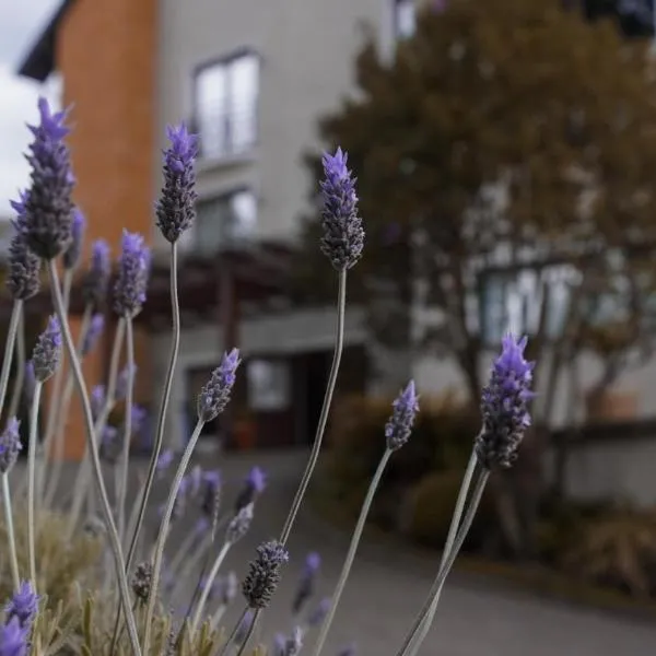 Hotel Gramado Interlaken, hotel sa Gramado