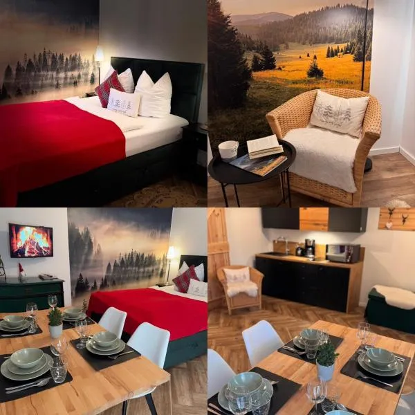 BergOase-Apart am Feldberg، فندق في فيلدبرج