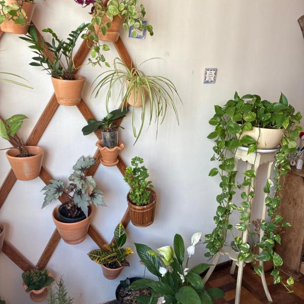 Apartamento Amplo 2 Quartos Ótima Localização Centro Curitiba - Foto 5