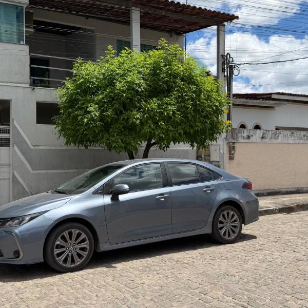 AP Ribeiro - Foto 3