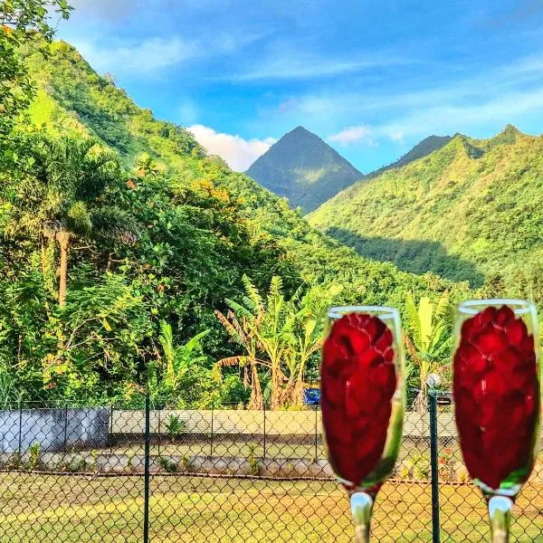 Studio Tropical - climatisé - vue mer et montagnes - canoes et paddle offerts ! Teahupo'o Lodge Tahiti, khách sạn ở Teahupoo