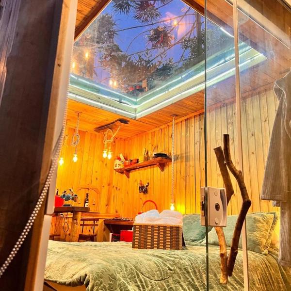 Cabana da Árvore e Cabana Retrô - ForestPlace - Foto 2