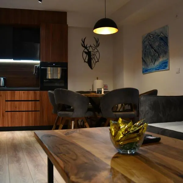NovAS Apartment – hotel w mieście Mavrovo
