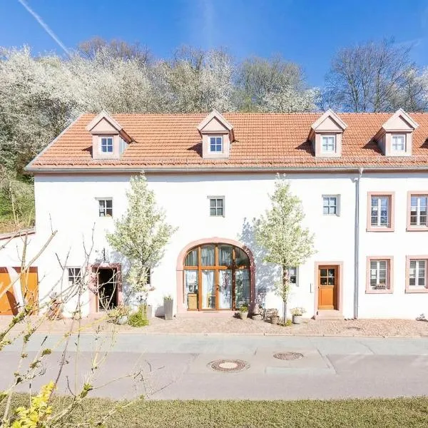 Erasmus 1901 Apartments, Hotel in Trassem