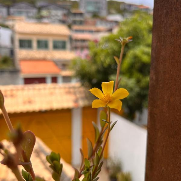 Casa Amaréla