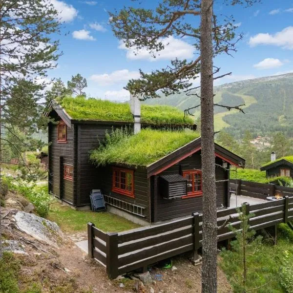 Charming cabin by Hallingskarvet ski center, hotel din Holo