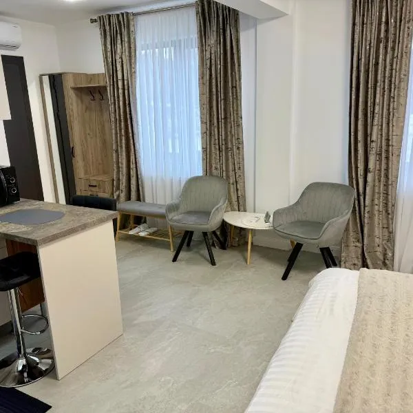 visitor's house 1, hotel en Rădăuţi