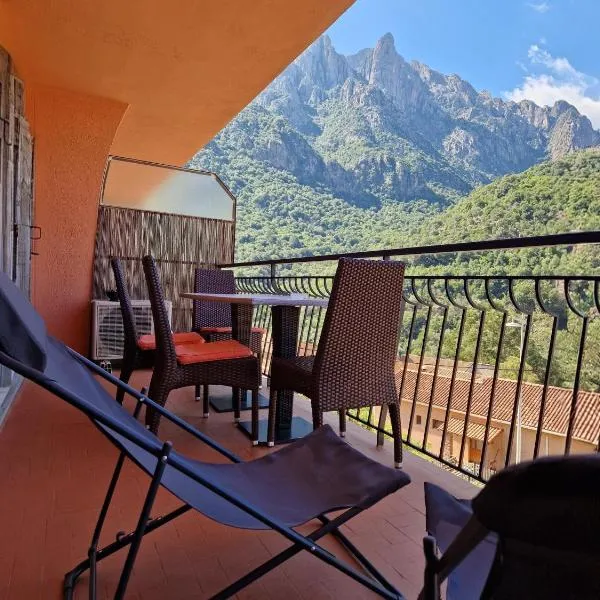 T2 vue mer & montagne Golfe de Porto-Ota, Hotel in Porto Ota