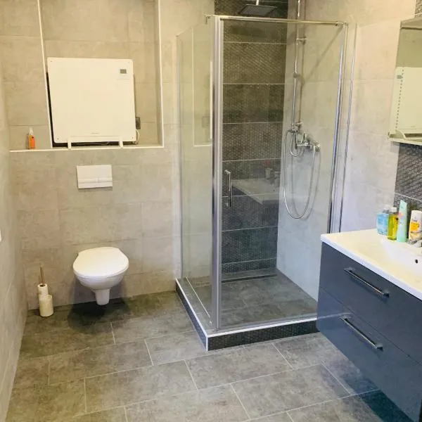 Dvoujlůžkový pokoj s koupelnou, hotel a Petrovice