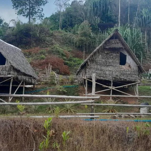 Khao Sok Moon Light Hill Camp, hotel in Khao Sok National Park