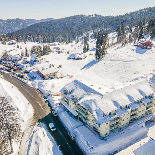 Apartment 117, hotell i Feldberg