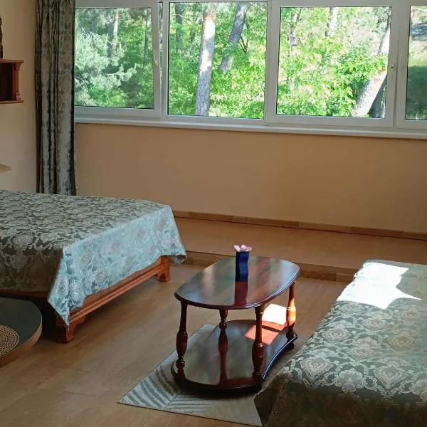 Apartamentai Nidoje, hotel Nidában