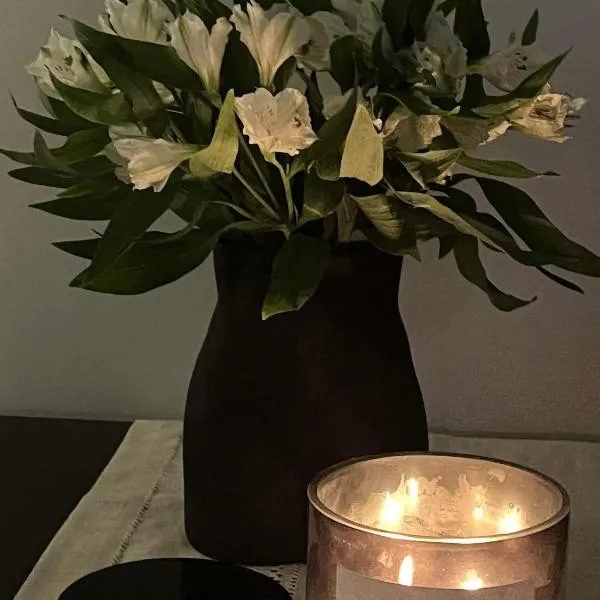 Apartament Wapienna, Hotel in Łódź