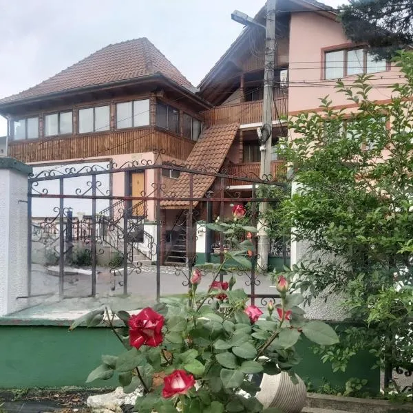Pensiune Supca, hotel en Râmnicu Vâlcea