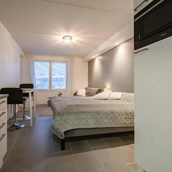 Sisu Stay Studio Jetset Levi, hotel a Levi