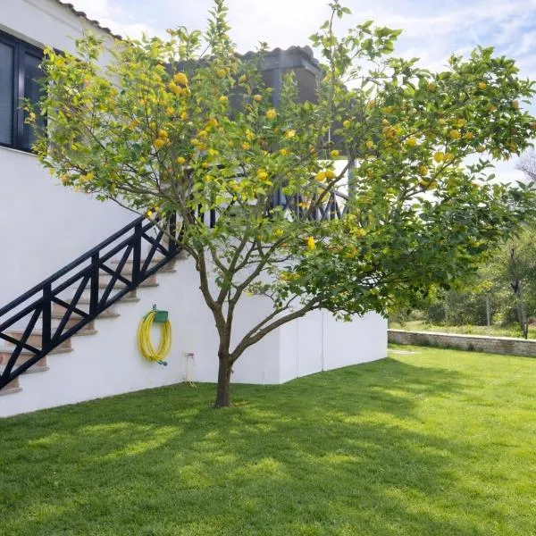 Elia & Petra Villa, отель в городе Принос